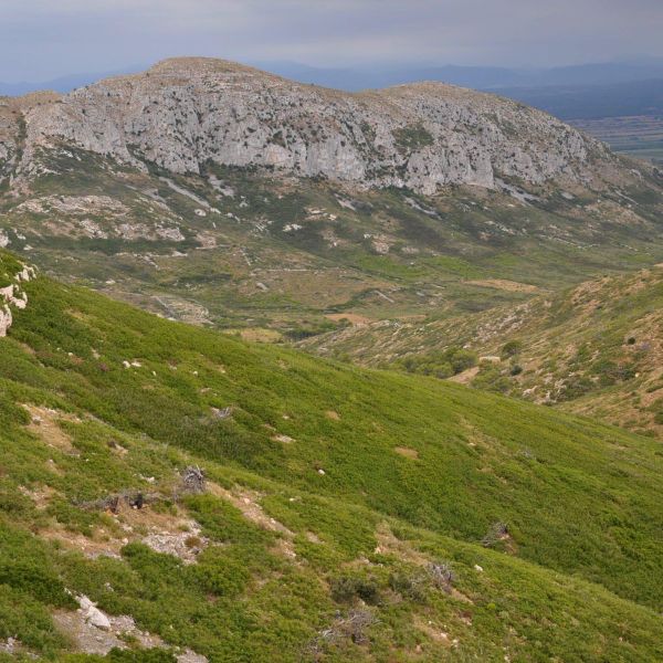 Turisme de naturalesa: Illes Medes, el Montgrí i Les Gavarres